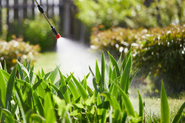 24/7 Emergency Mosquito Control experts in Lisbon, IA